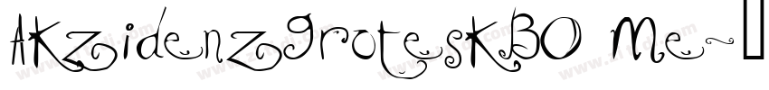 AkzidenzGroteskBO Me字体转换